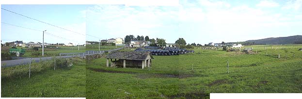 panorama