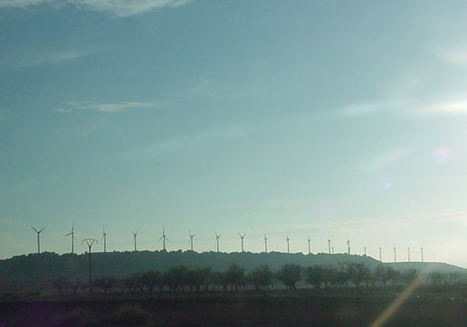 windmilltrees