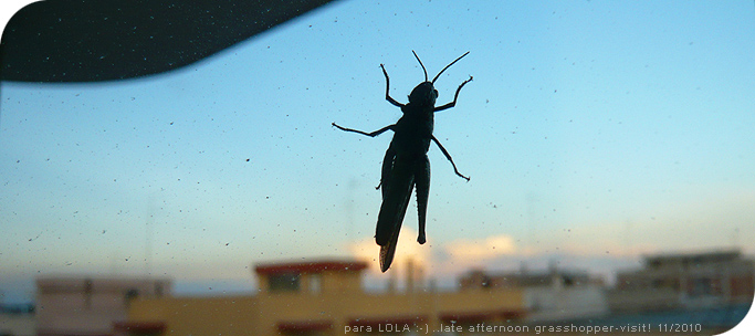 November_2010_03