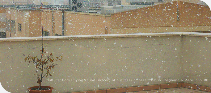 December_05_2010
